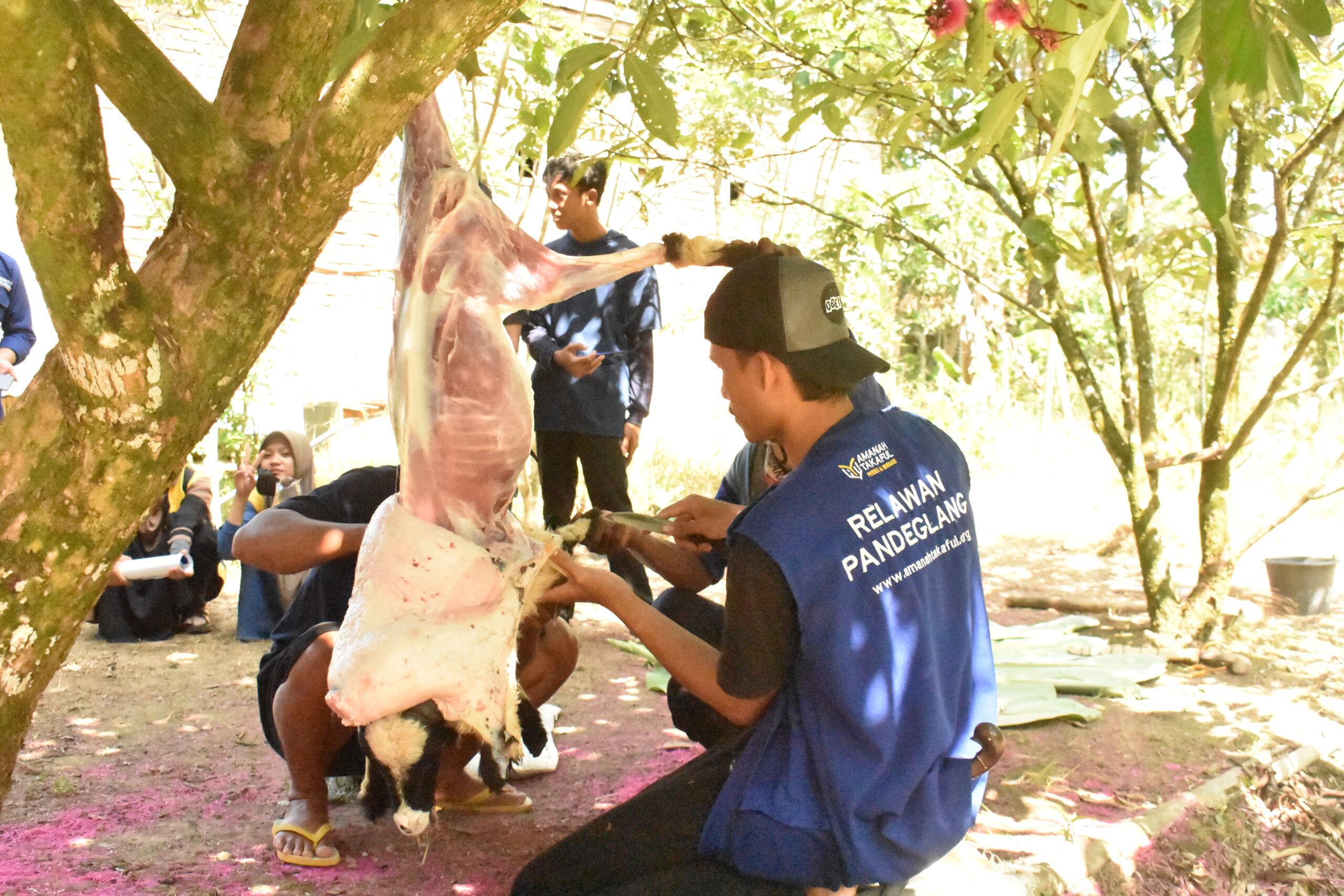Idul Adha dan 5 Hikmah Agung Syariat Qurban